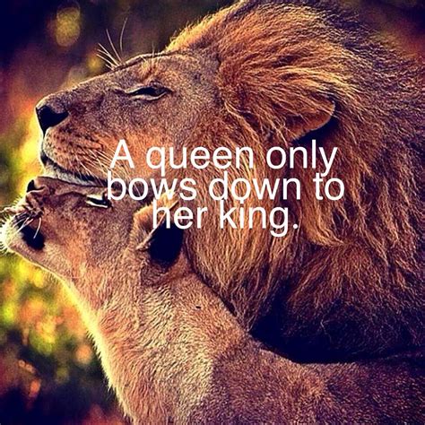 lioness quotes|60 Strong Woman Lion Quotes (Roar Like A Lioness)